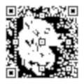 QR curiosite
