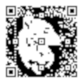 QR sil v1